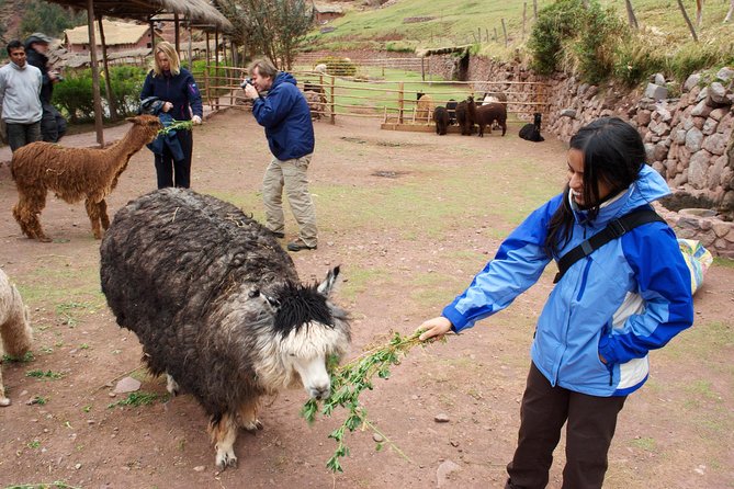 6 Days Exploring Cusco, Sacred Valley & Machu Picchu - Logistics and Preparation