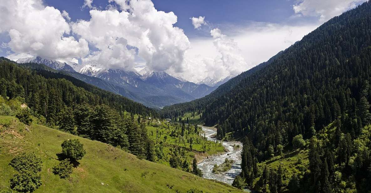 6 Days Kashmir Tour With Gulmarg, Pahalgam and Sonamarg - Experience Highlights