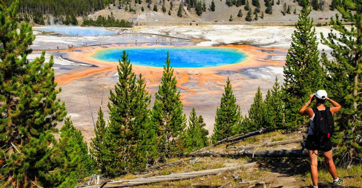 7-Day Yellowstone National Park Rocky Mountain Explorer - Experience Highlights
