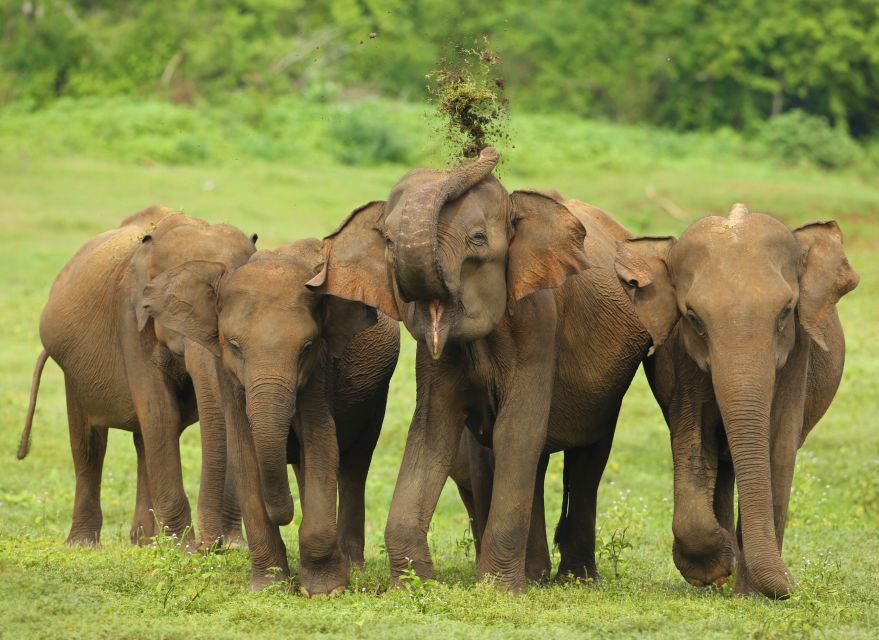 8 Day Tour Sri Lanka With Wildlife & Outdoor Experiences - Flexible Itinerary and Cancellation Policy