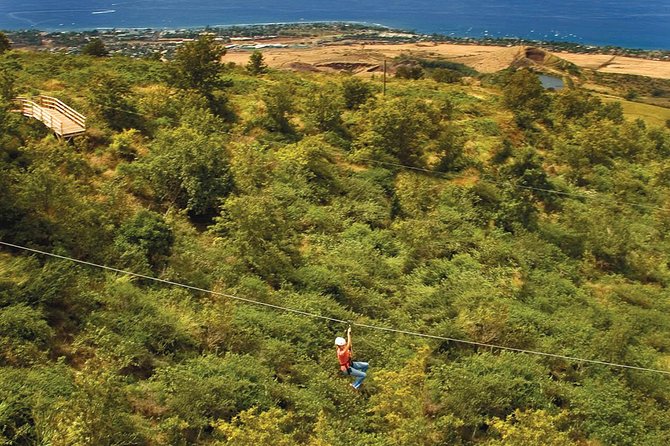 8 Line Kaanapali Zipline Adventure on Maui - Island History and Wildlife