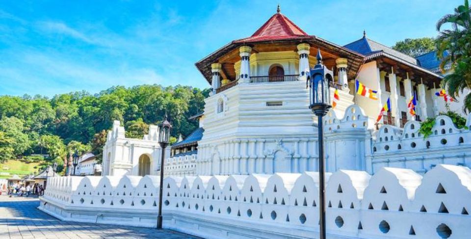 9-Day Adventure Exploring Hidden Sri Lanka - Tour Details