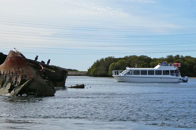 90 Minute Port River Dolphin & Ships Graveyard Cruise - Viator Information