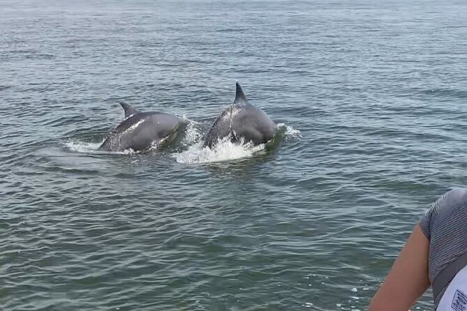 90-Minute Private Dolphin Tour in Hilton Head Island - Meeting Point Details