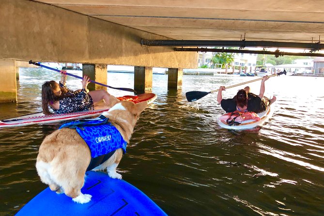 90-Minute SUP Tour of Las Olas Canals With a Doggy Guide  - Fort Lauderdale - Meeting Information