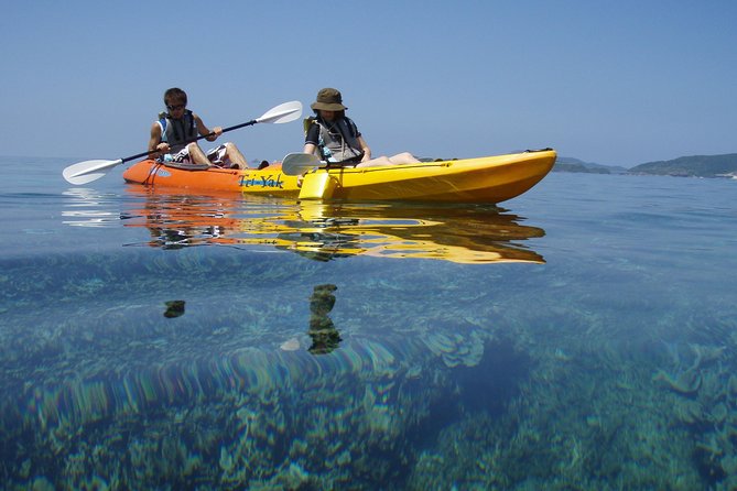 A 2-Hours Sea Kayak Voyage Around Kerama Islands - Wildlife Spotting Opportunities