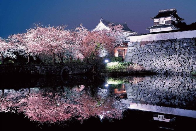 A Day Charter Bus Tour Around Cherry Blossoms in Northern Kyushu - Itinerary Highlights