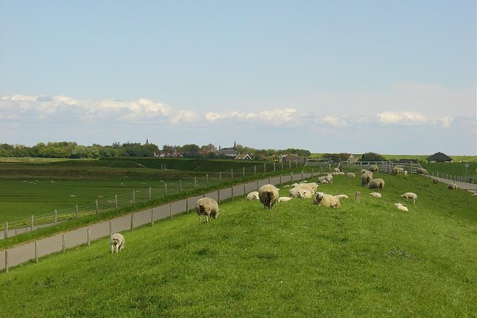 A Day of Solex Riding on Texel - Cancellation Policy