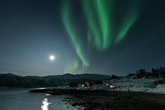 A Journey in Search of the Northern Lights" Photography - Traveler Reviews Overview
