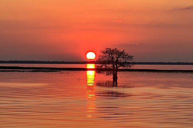 A Sunset Airboat Tour of the Florida Everglades (Mar ) - Logistics and Meeting Point