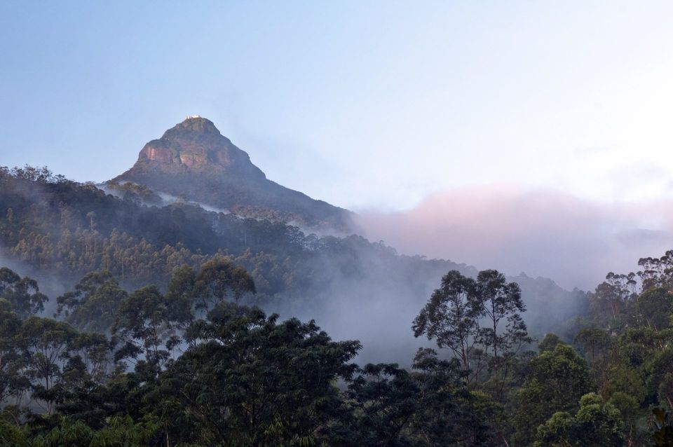 Adam's Peak: Overnight Trek via Peak Wilderness Sanctuary - Activity Overview