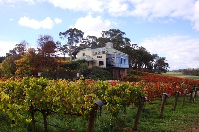 Adelaide Hills Day Tour. Winery Cellar Doors - Additional Information for Visitors