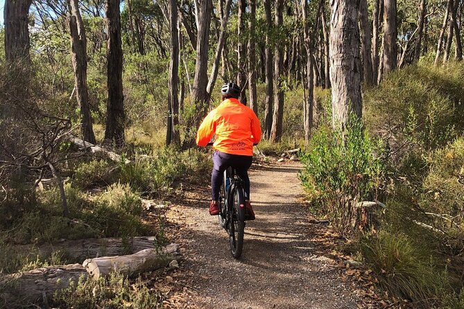 Adelaide Hills Full Day E-Bike Hire - Packing Essentials for the Day