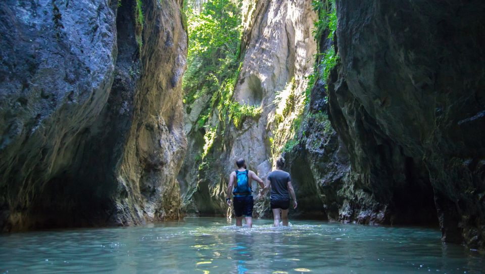 Adventure Trip From Iasi: Hiking in the Carpathian Mountains - Key Points