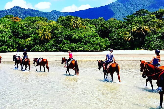 Afternoon Beach Horse Ride in Cape Tribulation - Safety Briefing