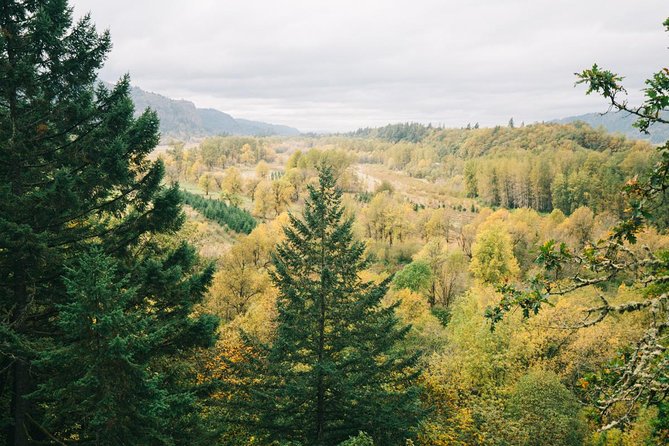 Afternoon Half-Day Multnomah Falls and Columbia River Gorge Waterfalls Tour From Portland - Traveler Experience and Reviews