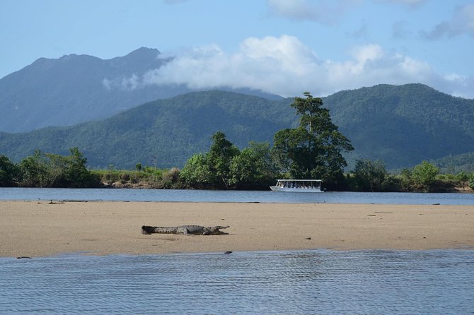 Afternoon Tour Mossman Gorge & Daintree River From Port Douglas - Duration, Schedule, and Booking