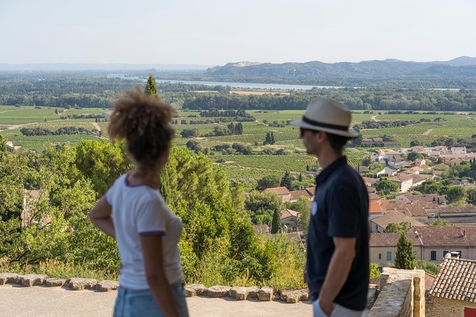 Afternoon Wine Tour to Chateauneuf Du Pape From Avignon - Customer Feedback and Reviews