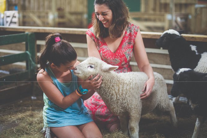 Agrodome Farm Experience Including Farm Show and Farm Tour - Rotorua - Farm Experience Highlights