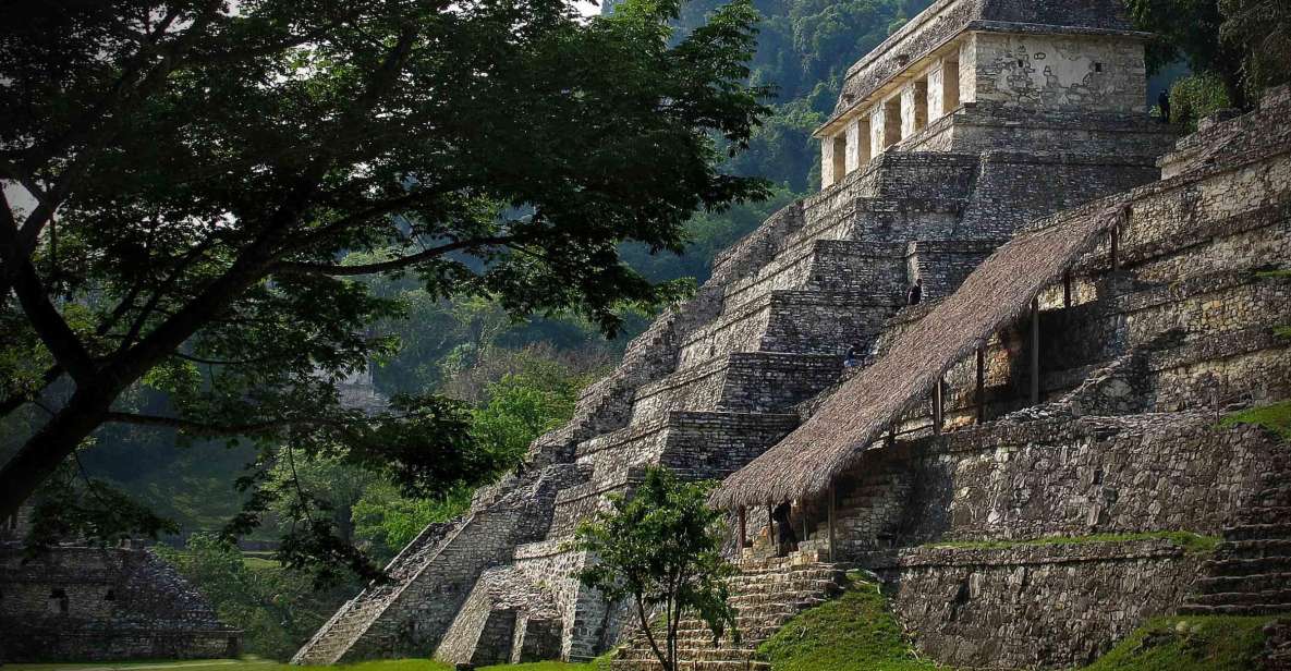 Agua Azul, Misol-Ha & Palenque Ruins From San Cristobal - Customer Feedback