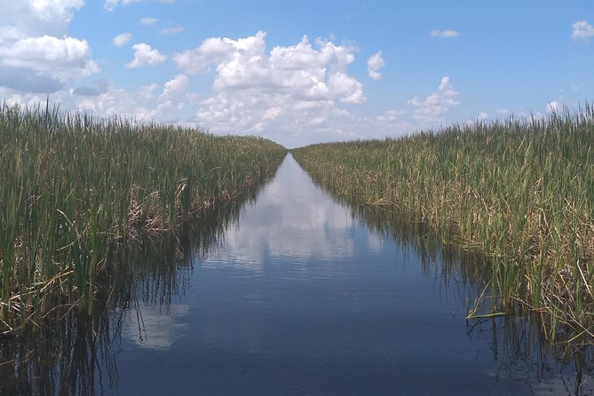 Air Boat Tour of Palm Beach in The Swamp Monster - Additional Information