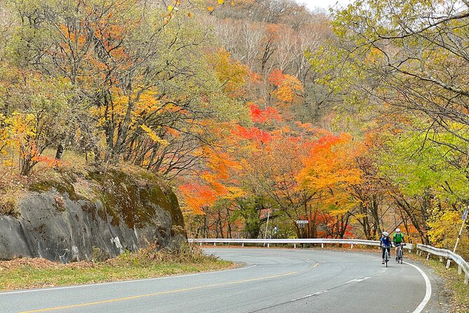 Akagi Mountain E-Bike Hill Climbing Tour - Review Analysis