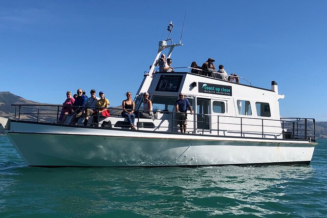 Akaroa Wildlife Cruise - Reviews From Satisfied Travelers