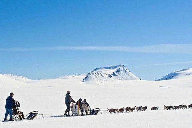 Alaska Helicopter and Glacier Dogsled Tour - ANCHORAGE AREA - Customer Recommendations