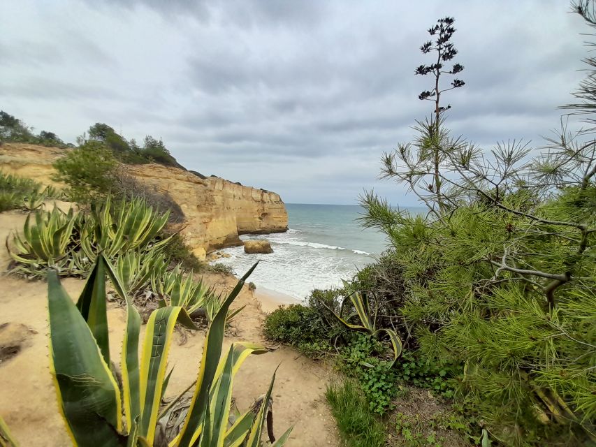 Albufeira: Silves Castle, Marinha Beach, and Benagil - Marinha Beach: Natures Masterpiece