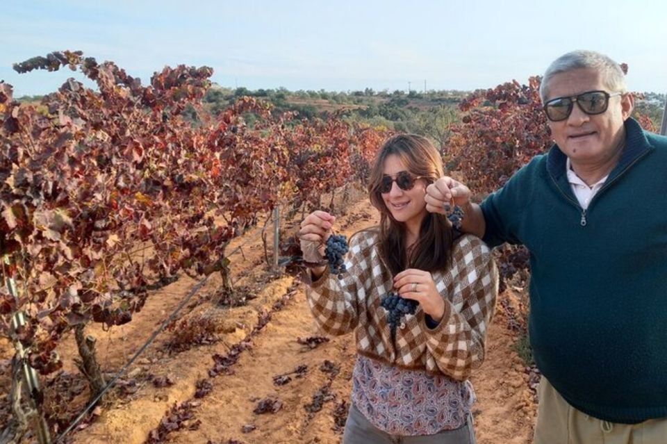 Albufeira: Winery Tour With Wine Tasting and Tapas - Customer Reviews