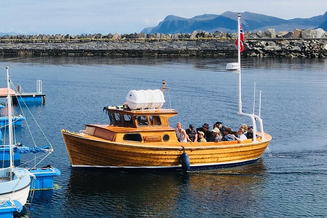 Alesund Private Half-Day Alesund, Alnes Sightseeing Tour (Mar ) - Inclusions and Visits on the Tour