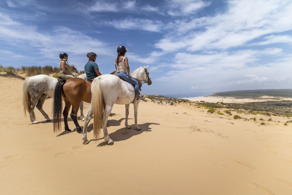 Algarve: 1-Hour Carrapateira Horseback Riding Tour - Guided Tour Information