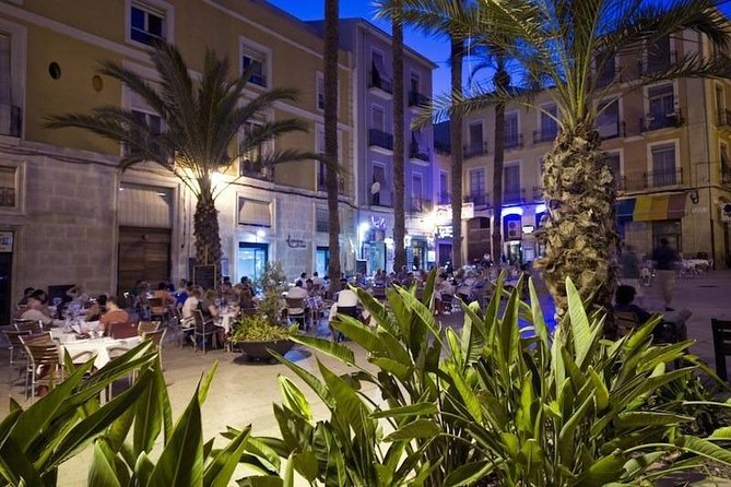 Alicante Wine Tasting and Tapas for Foodies - Customer Testimonials and Recommendations