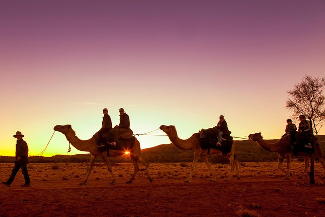 Alice Springs Camel Tour - Additional Information