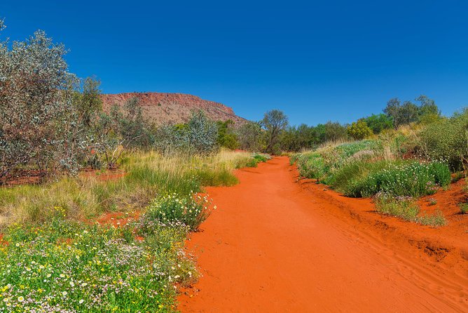 Alice Springs Desert Park General Entry Ticket - Ticket Pricing & Booking Details