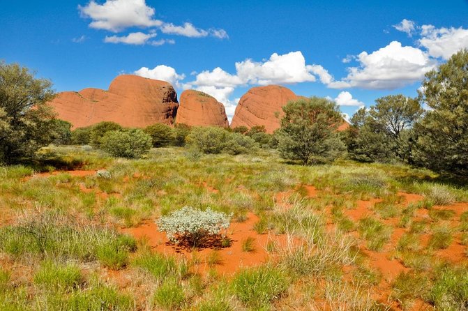 Alice Springs Desert Park Nocturnal Tour - Traveler Experience and Reviews