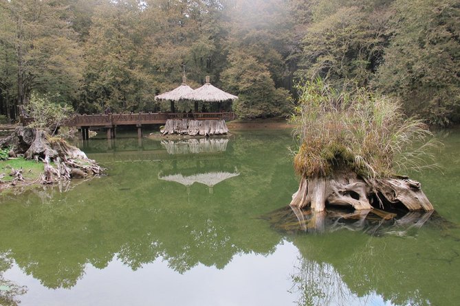 Alishan Culture and Ecology -One Day Tour - Ecological Exploration