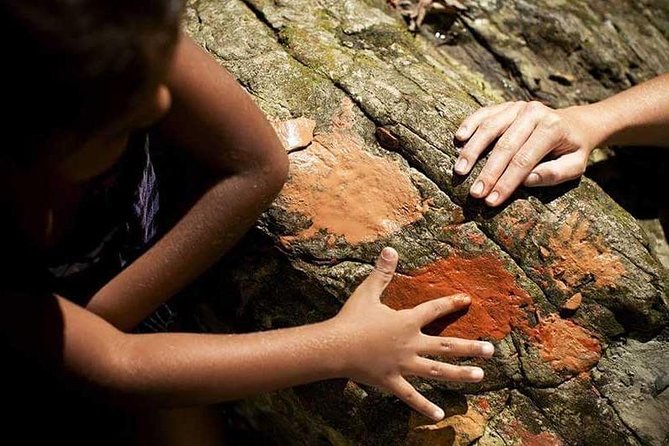 All-Day Tour of Daintree Rainforest With Aboriginal Guide (Mar ) - Lunch and Refreshments