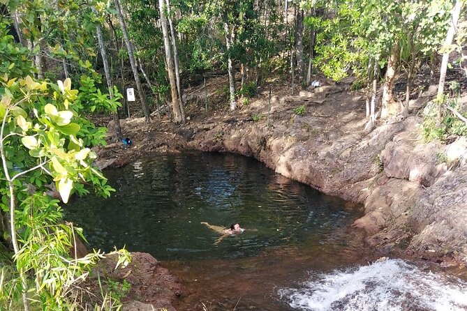 All-Day Tour of Litchfield National Park  - Darwin - Booking Information and Details