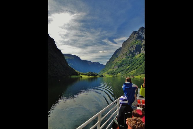 ALL Electric: Emission Free Tour to the World Heritage Fjords, 10.5 Hours - Tour Details