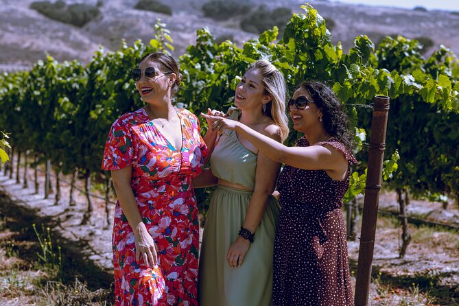 All-Inclusive Full-Day Wine Tasting Tour From Santa Ynez Valley - Logistics