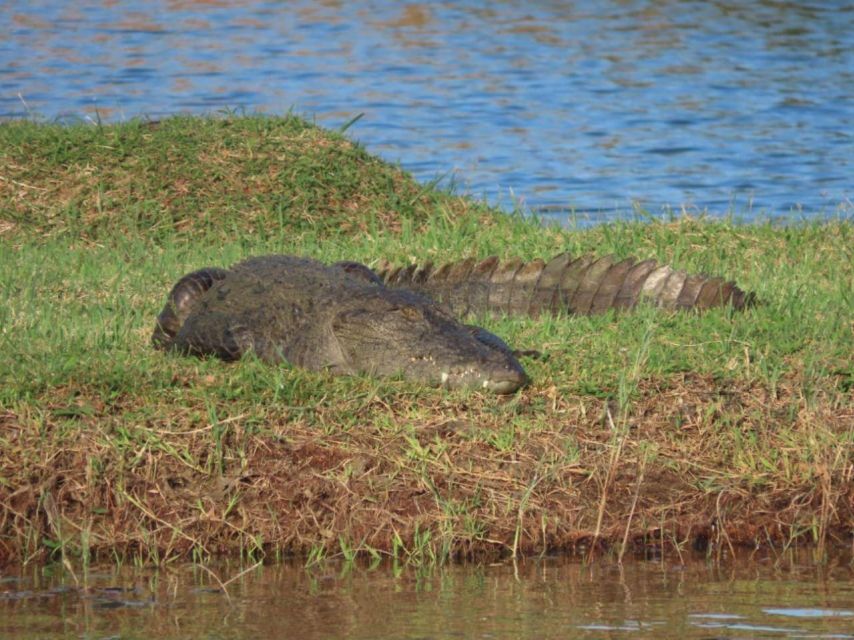 All Inclusive Minneriya/Kaudulla/Hurulu National Park Safari - Wheelchair Accessibility and Private Experience