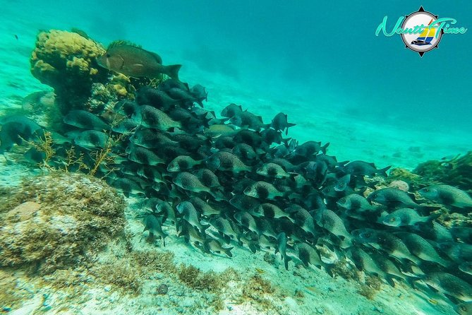 All Inclusive Snorkeling at Hol Chan - Safety Measures and Positive Reviews