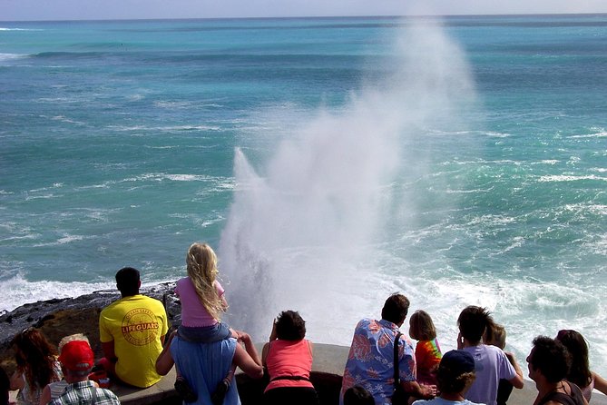 All Inclusive Ultimate Circle Island Day Tour With Lunch and Waimea Waterfall - Tour Experience