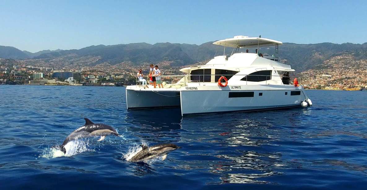 All Inclusive Whale and Dolphin Watching Luxury Tour - Customer Reviews