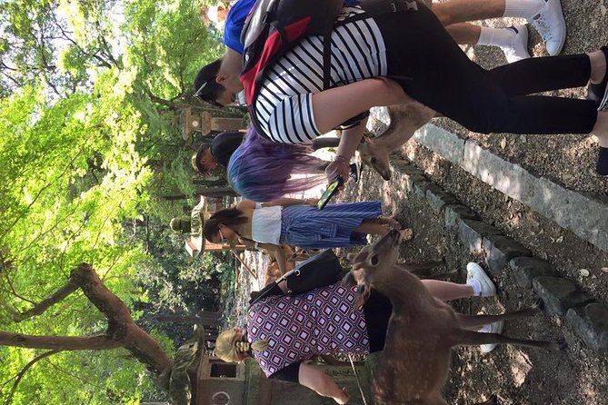 All Must-Sees in 3 Hours - Nara Park Classic Tour! From JR Nara! - Common questions