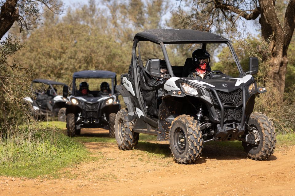 Almancil: Algarve Guided Off-Road Buggy Adventure - Review Summary