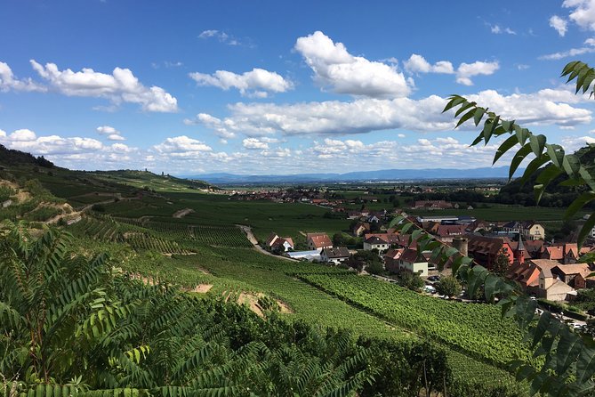 Alsace Discovery Private Tour With Local Villages & Castles - Traveler Reviews and Testimonials