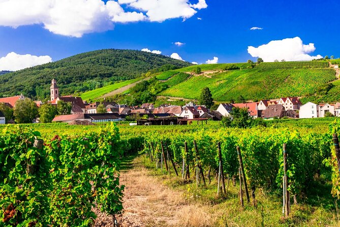 Alsace Wine Route Small Group Half-Day Tour With Tasting From Strasbourg - Wine Experience