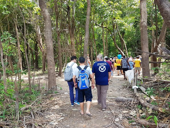 Amazon Negro River Half-Day Expedition Tour - Common questions